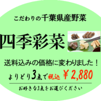 選べる四季彩菜3点