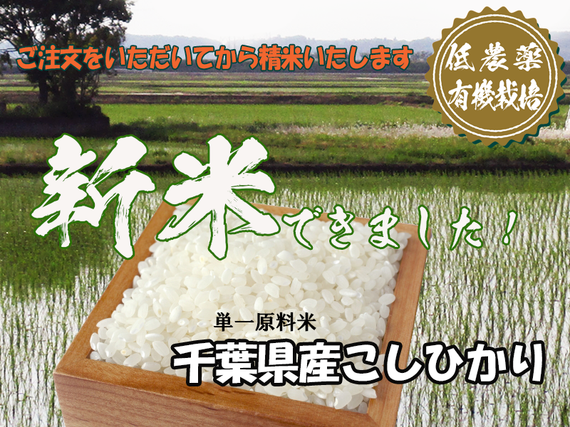 千葉県産こしひかり 2025年新米 中島 | 直売所天国