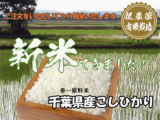 千葉県産こしひかり 2026年新米　渡辺孝