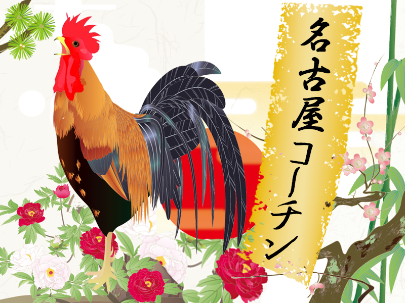 名古屋コーチン